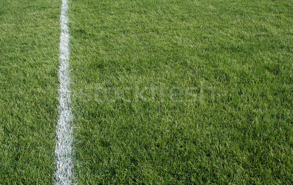 Green Grass and White Line Stock photo © ca2hill