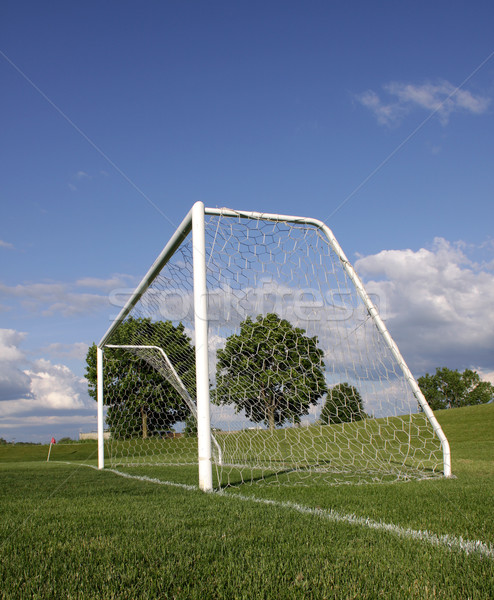 Vertical futebol com ver Foto stock © ca2hill