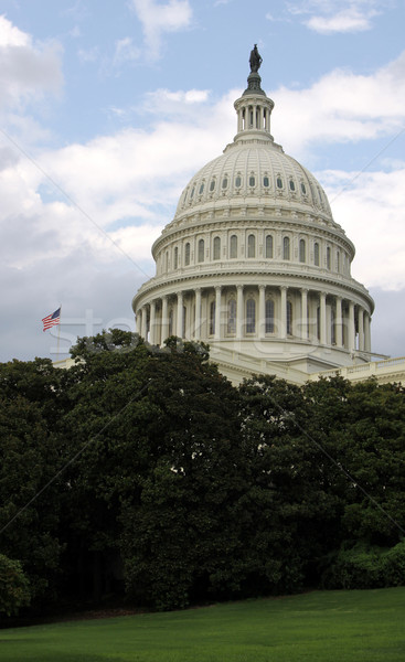 Edifício árvores ocidente lado Capitólio Washington DC Foto stock © ca2hill