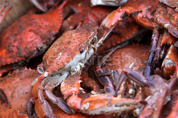 Hot and Dirty Crabs Stock photo © ca2hill
