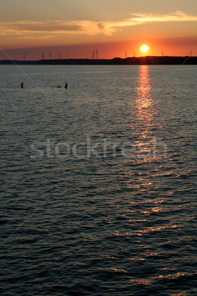 Stockfoto: Zomer · zwemmen · drie · mensen · zwemmen · schemering · zon