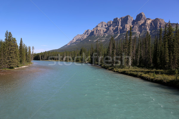 Castle Mountain and the Bow Stock photo © ca2hill