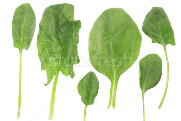 Vorm vers spinazie verschillend witte vegetarisch eten Stockfoto © caimacanul