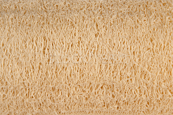 Sponge Texture Stock Photos Stock Images And Vectors Stockfresh