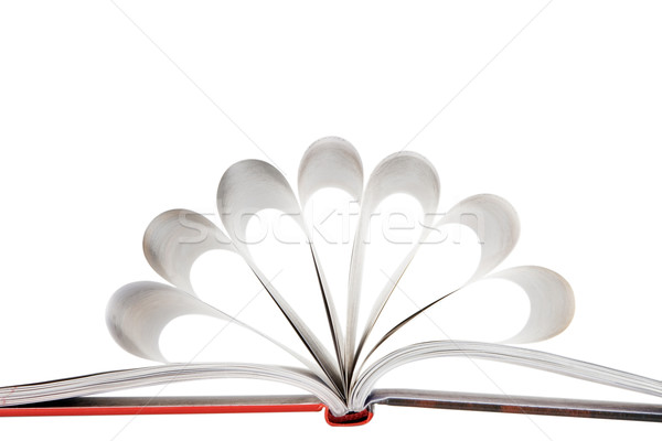 Livre pliées fleur forme [[stock_photo]] © caimacanul