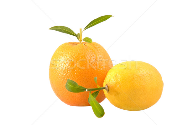 Fraîches citron orange laisse vue [[stock_photo]] © caimacanul