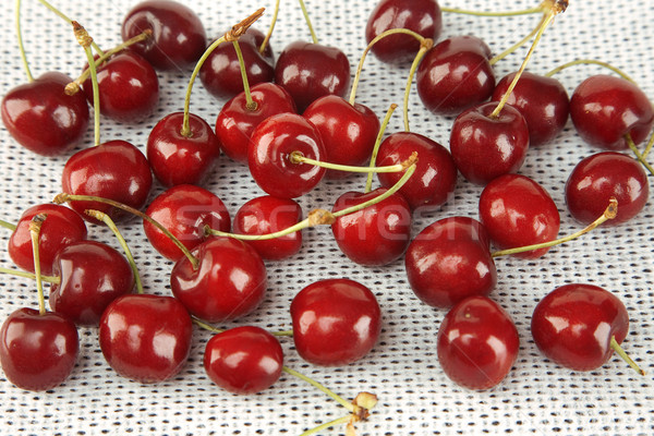 Sweet rouge cerises vue blanche [[stock_photo]] © caimacanul