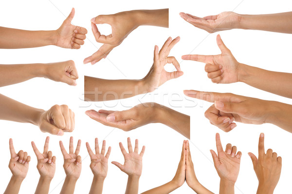 Vrouw hand gebaren geïsoleerd witte lichaam Stockfoto © caimacanul