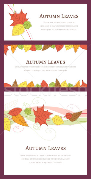 Tres otono fondos dibujado a mano hojas de otoño diferente Foto stock © cajoer
