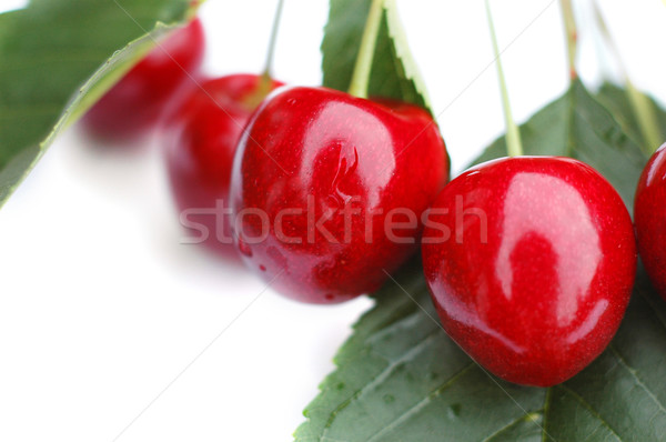 Cherries II Stock photo © Calek