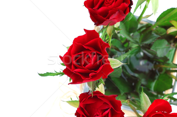 красные розы подробность стекла ваза любви закрывается Сток-фото © Calek