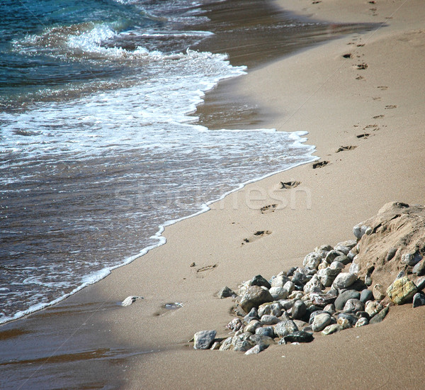 Footsteps Stock photo © Calek