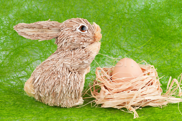 кролик яйцо зеленый Пасху трава Bunny Сток-фото © Calek