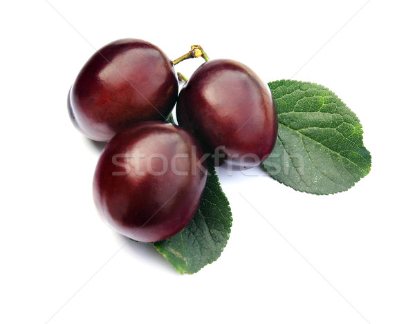 Plums 1 Stock photo © Calek