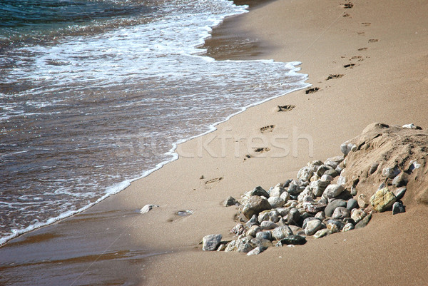 Footsteps Stock photo © Calek