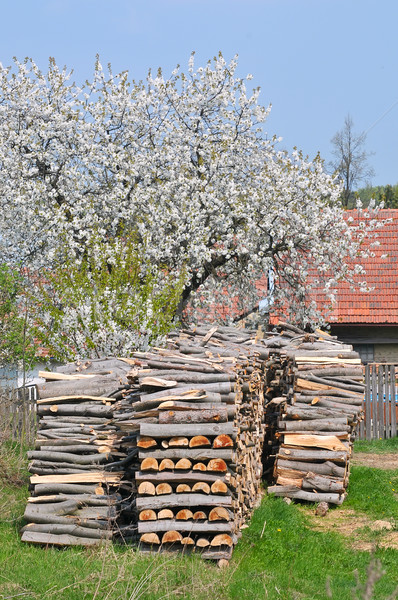 Stockfoto: Gehakt · hout · verwarming · winter · boom