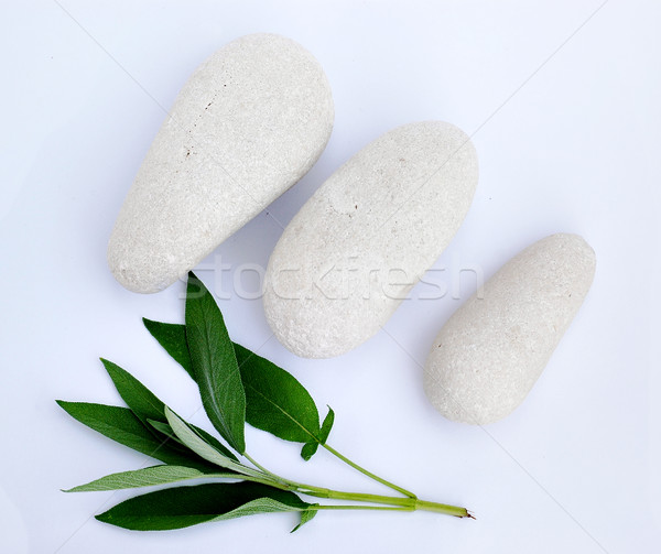 石頭 聖人 三 白 性質 花園 商業照片 © Calek