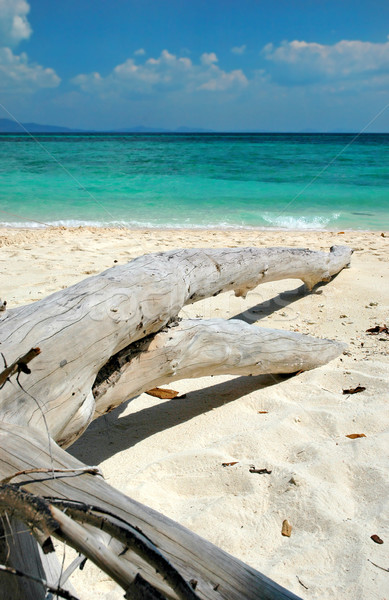 Foto stock: Playa · bambú · isla · Tailandia · agua