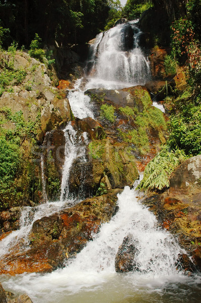 Foto stock: Cascada · isla · árbol · forestales · árboles · montana