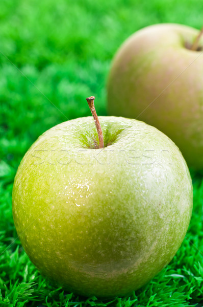 Groene appel twee appels gras Stockfoto © calvste