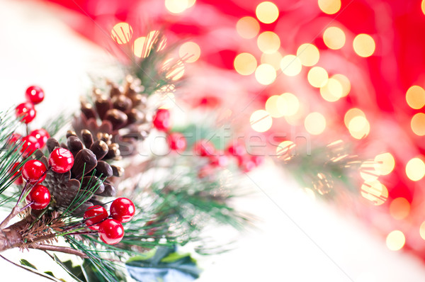 Christmas tak decoratie boom groene Stockfoto © calvste