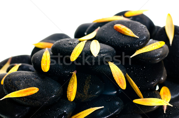 Geel bloemblaadjes zwarte zen steen witte Stockfoto © calvste