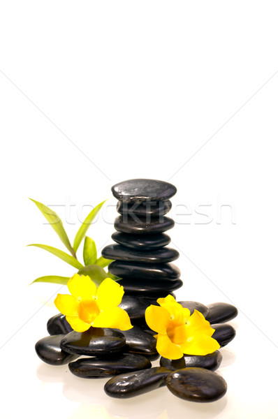 Zwarte zen stenen bamboe plant Stockfoto © calvste
