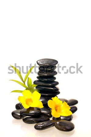 Red and white frangipani on zen stones with bamboo Stock photo © calvste