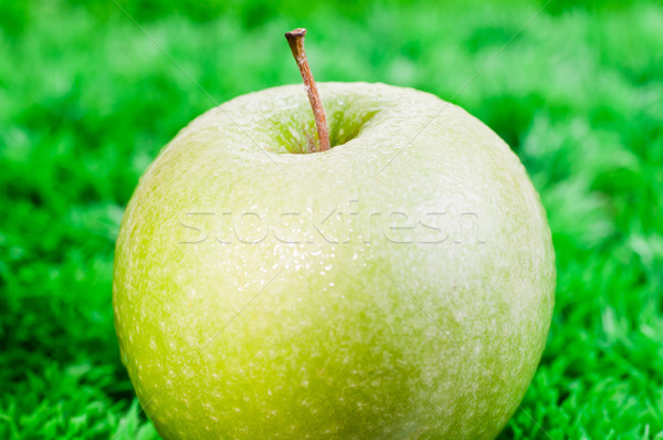 Groene appel gras groen gras voedsel Stockfoto © calvste