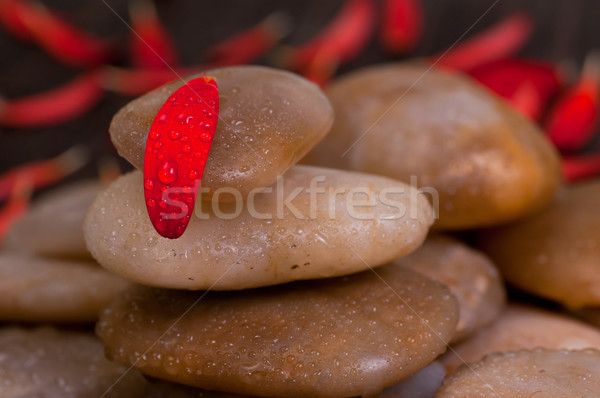 One red petal on yellow river stone close up Stock photo © calvste
