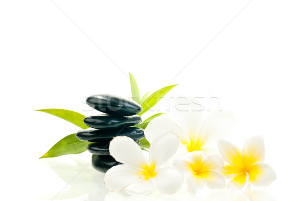 Zwarte zen steen witte bloemen bamboe bloem Stockfoto © calvste