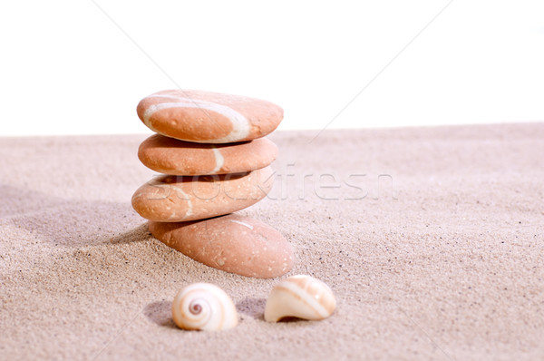 Sand stones and sea shells on sand Stock photo © calvste