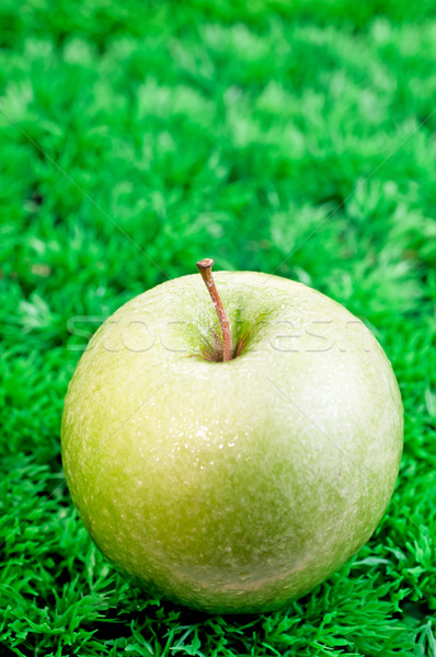Groene appel gras voedsel fitness Stockfoto © calvste