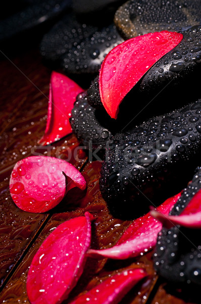 Rood bloem zen steen waterdruppels Stockfoto © calvste