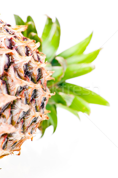 Stock photo: Pineapple laid down close up 