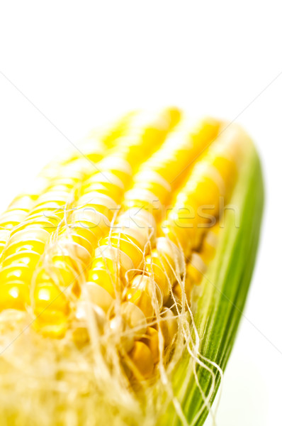 Frescos jóvenes maíz blanco alimentos hoja Foto stock © calvste