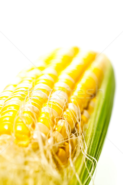 Vers jonge mais witte voedsel blad Stockfoto © calvste