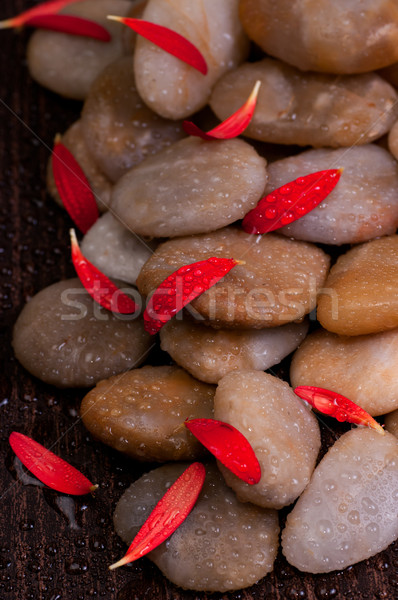 Stockfoto: Rood · bloemblaadjes · bloem · nat · Geel · rivier