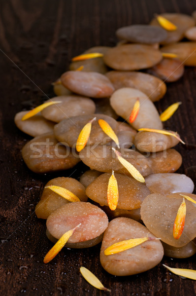 Yellow gerbera petals on wet yellow river stone  Stock photo © calvste