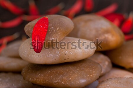 Stock photo: Petals of red plumeria on wet yellow river stone close up