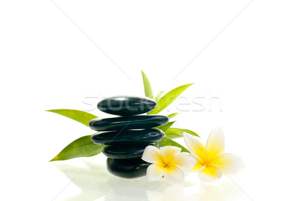 Black zen stone with two white flowers Stock photo © calvste