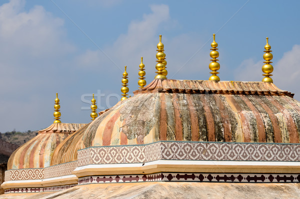 Złoty bursztyn fort dachu Indie ściany Zdjęcia stock © calvste