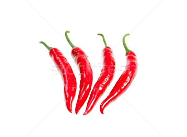Four fresh red chilies isolated on white background Stock photo © calvste