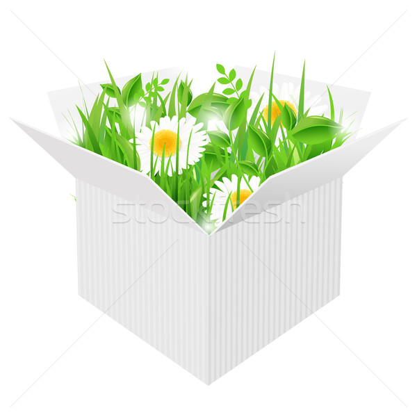 Stock photo: White Box With Grass