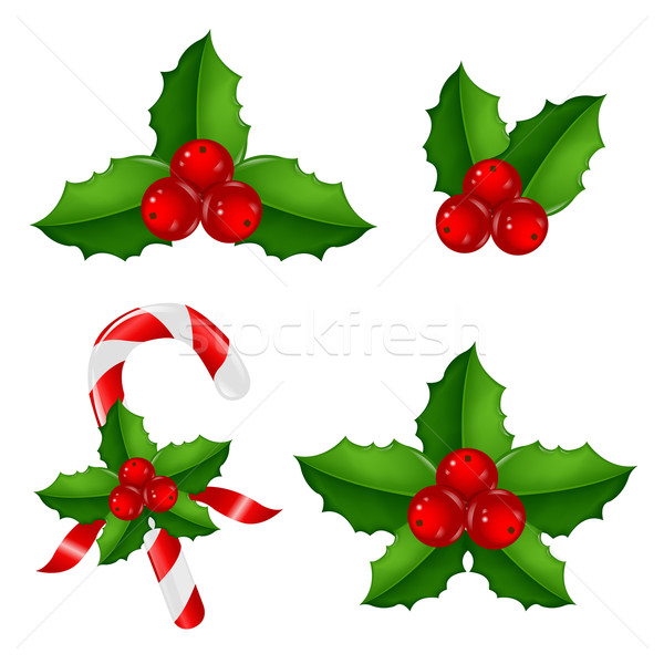 Christmas Holly Berry Set Stock photo © cammep