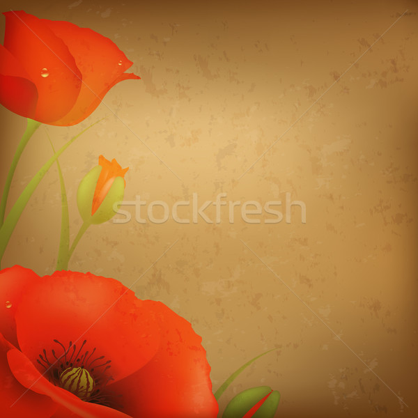 Vintage Red Poppy Stock photo © cammep