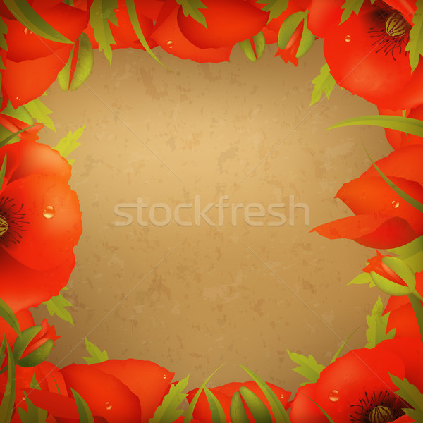 Vintage Paper And Red Poppy Stock photo © cammep