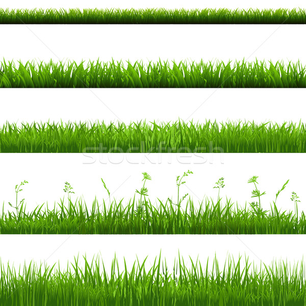 Grass Borders Big Set Stock photo © cammep