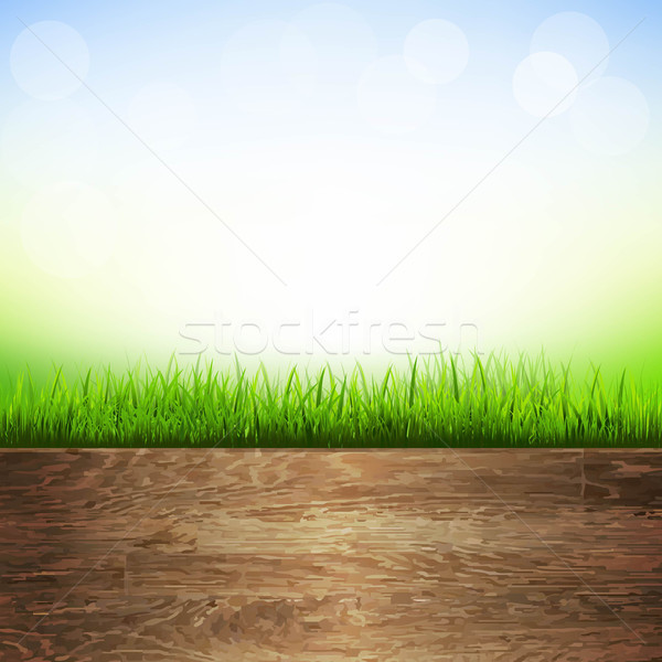 Wooden Background With Grass Border Stock photo © cammep