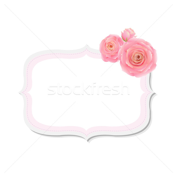 Pastel Pink Rose Label  Stock photo © cammep